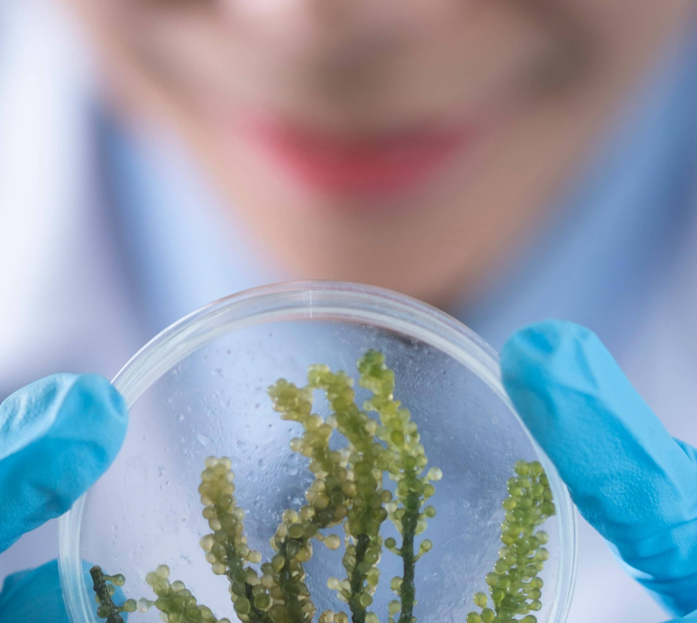 Plant Doctor Online Plant Doctor Online